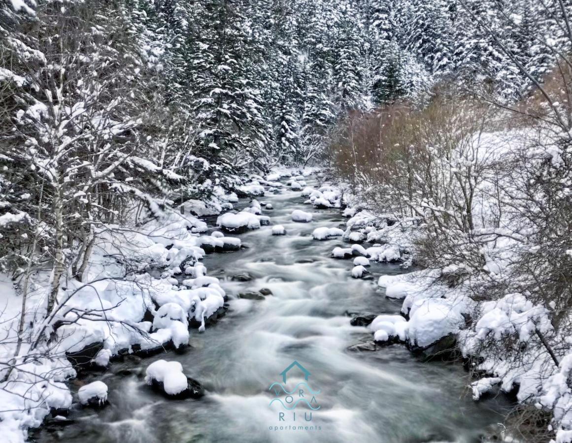 Appartamento Vora Riu Esterri d'Àneu Esterno foto