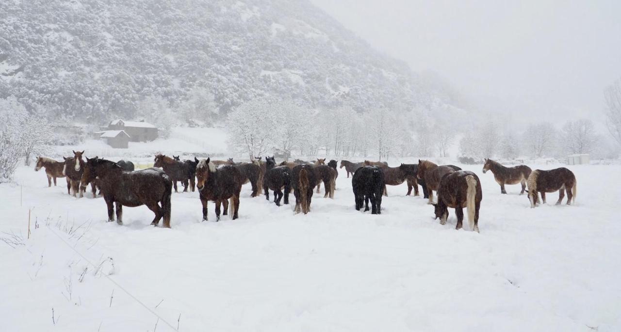 Appartamento Vora Riu Esterri d'Àneu Esterno foto