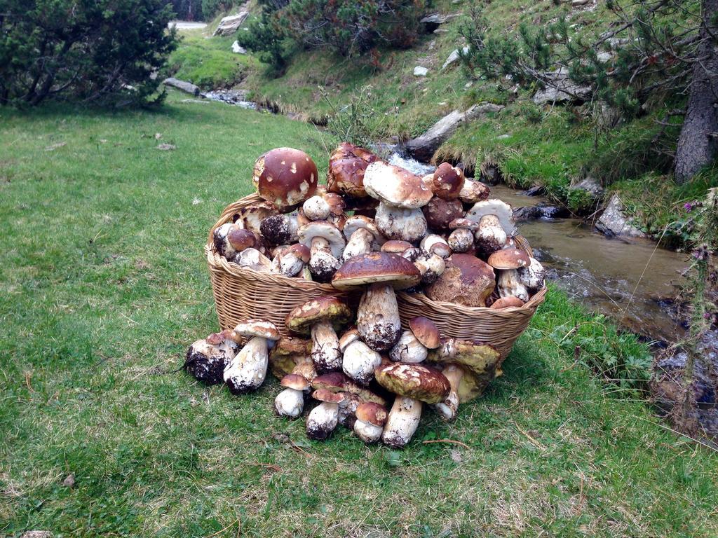Appartamento Vora Riu Esterri d'Àneu Esterno foto