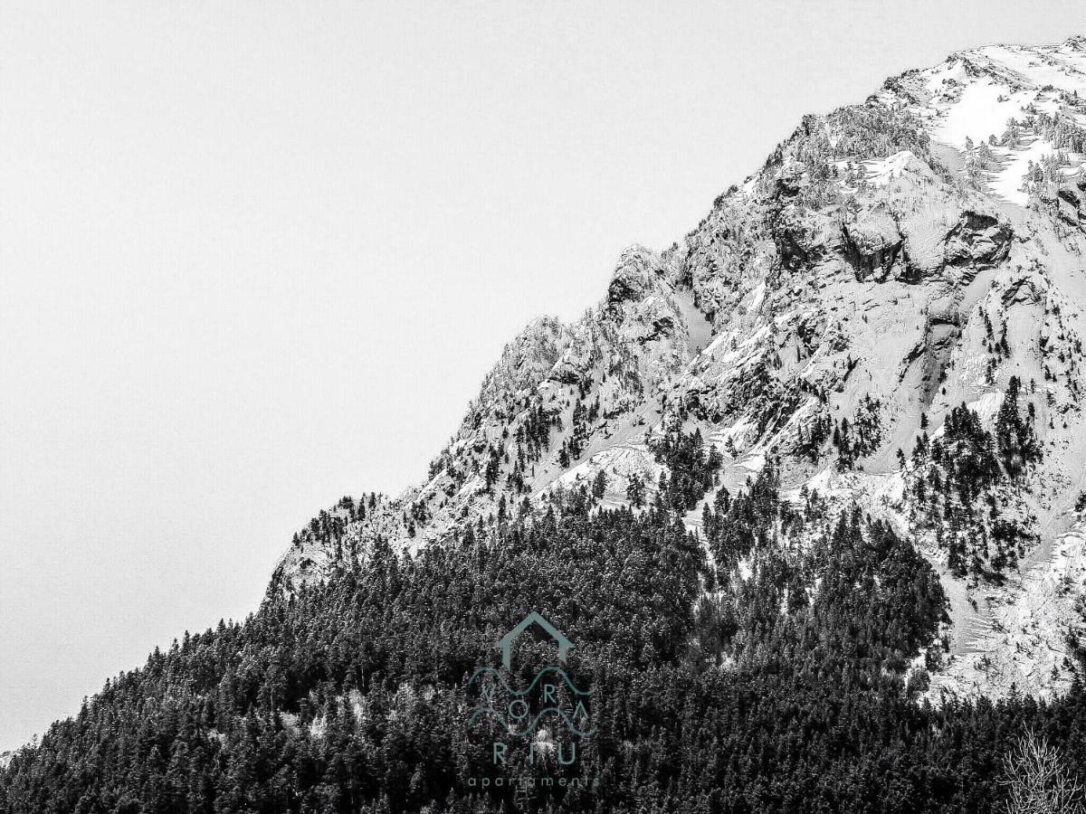 Appartamento Vora Riu Esterri d'Àneu Esterno foto